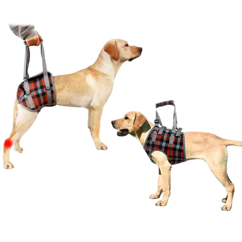 Skanto | Hunde-Hebe-Geschirr mit Griff, Haustier-Genesungsschlinge