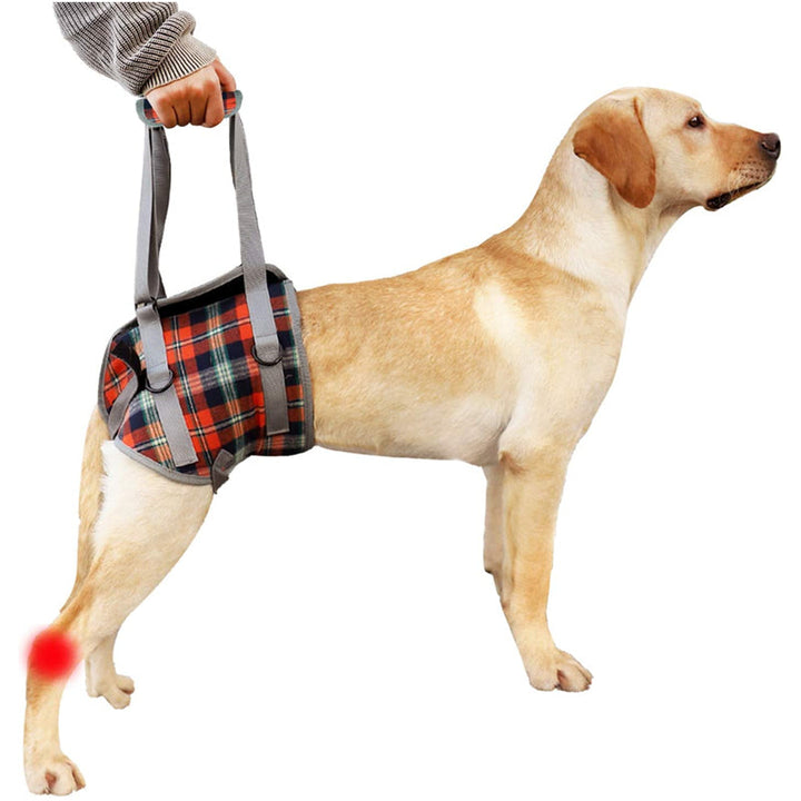 Skanto | Hunde-Hebe-Geschirr mit Griff, Haustier-Genesungsschlinge