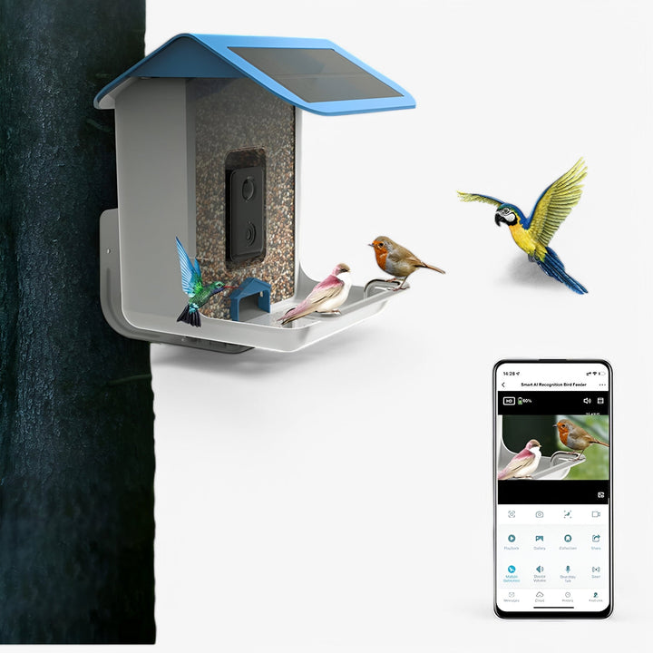 Skanto | Auxco | Intelligentes Vogelhaus mit 1080P HD-Kamera, KI-Vogel-Erkennung & Solarladung