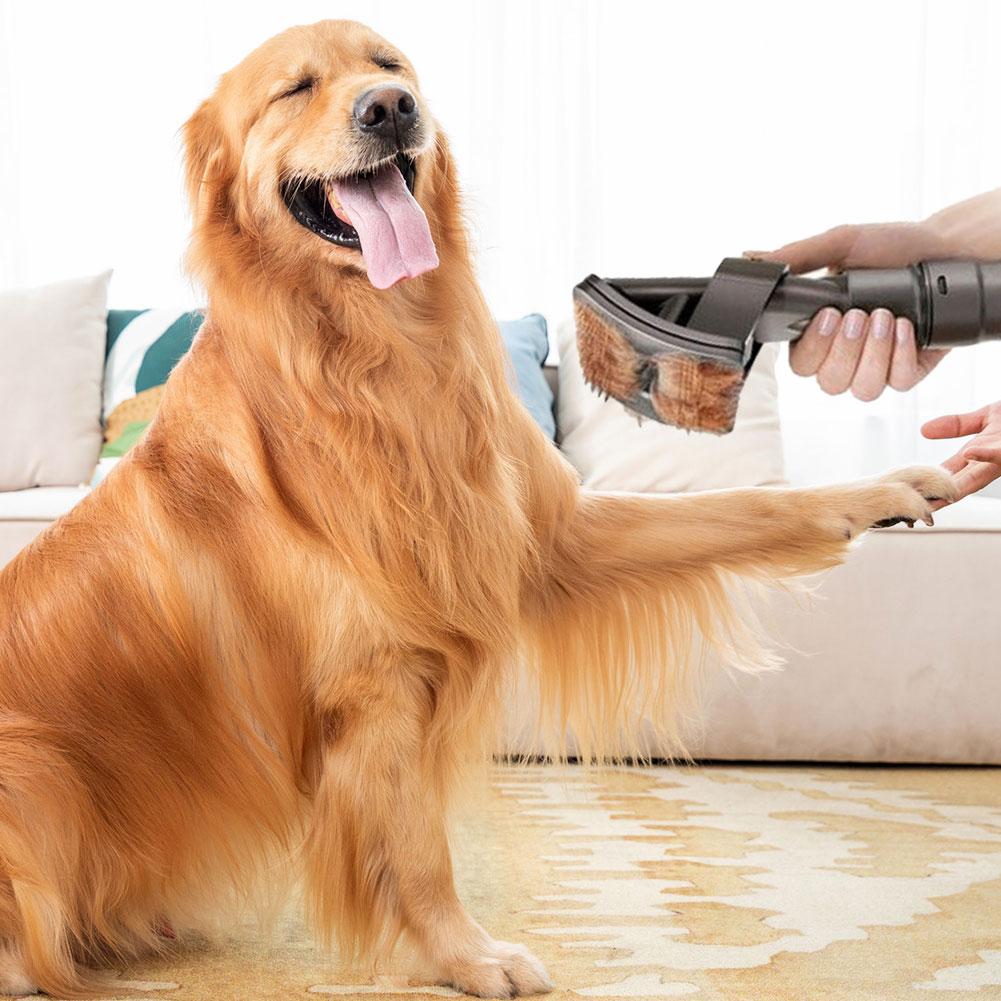 Skanto | DogCatFri VacuumBrush – Tierpflege-Staubsaugerbürstenaufsatz zur einfachen Haarentfernung