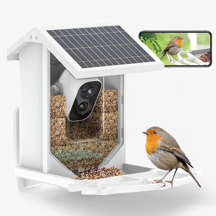 Skanto | Auxco | Intelligentes Vogelhaus mit 1080P HD-Kamera, KI-Vogel-Erkennung & Solarladung