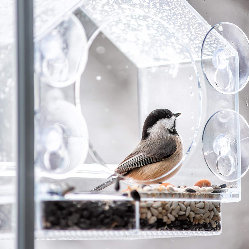 Skanto Skanto | Fenster-Vogelhäuschen