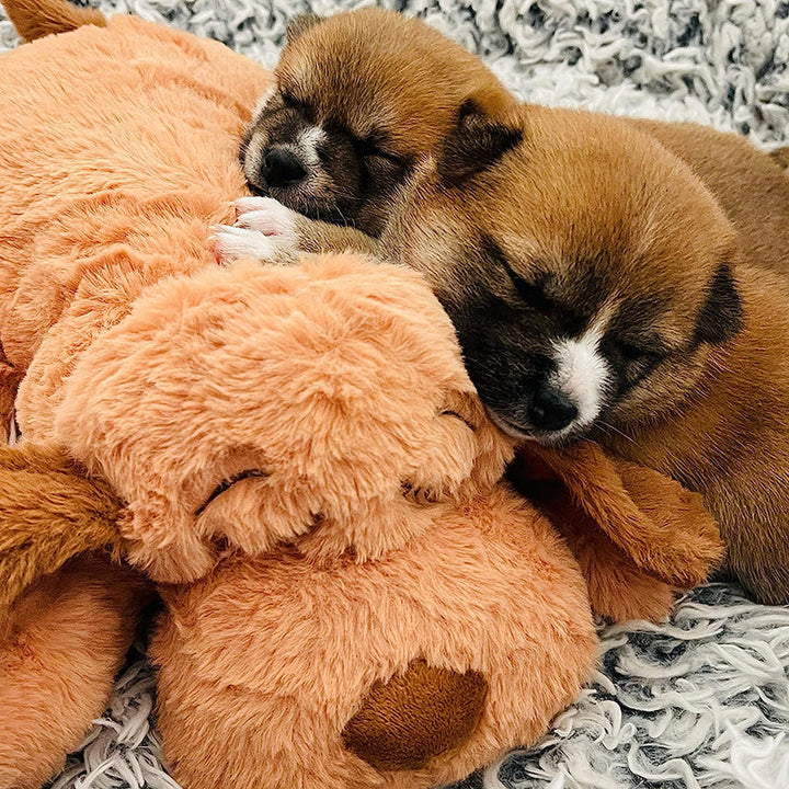 Skanto | Snuggle Puppy – Angst- und Einsamkeit reduzierendes Stofftier