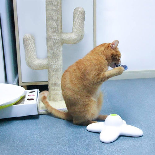 Skanto | Automatisches Schmetterling Katzen-Spielzeug