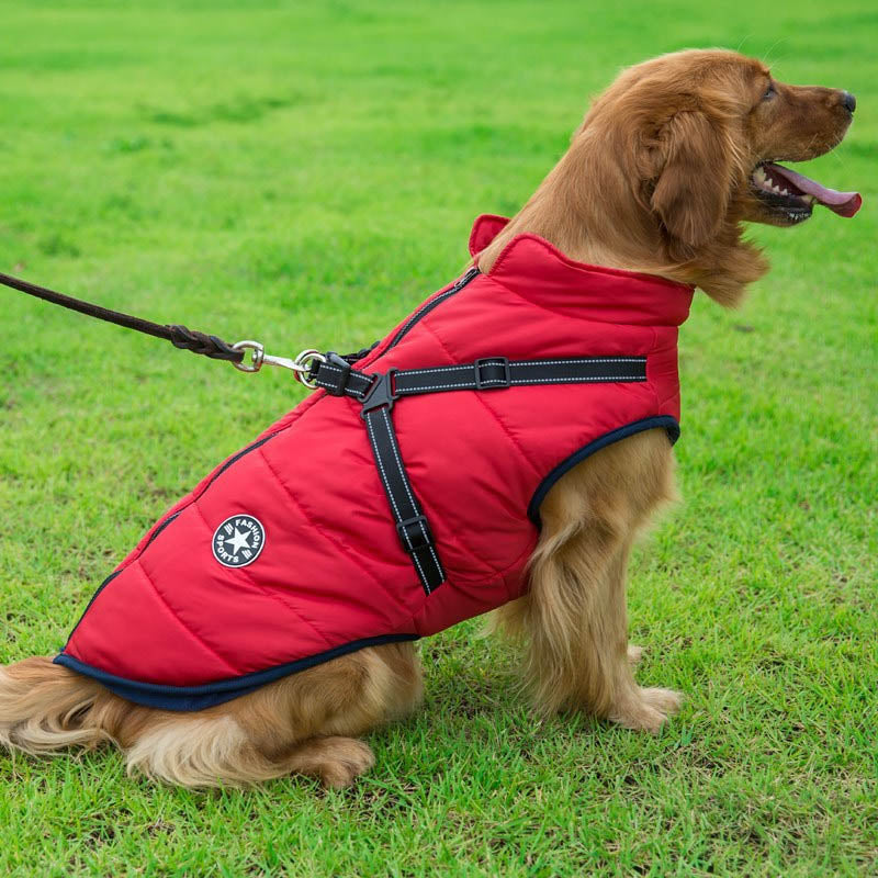 Skanto | Wasserdichte Winterjacke mit integriertem Geschirr