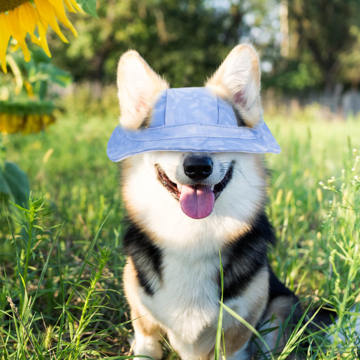 Skanto | Sonnenschutzhut für Hunde