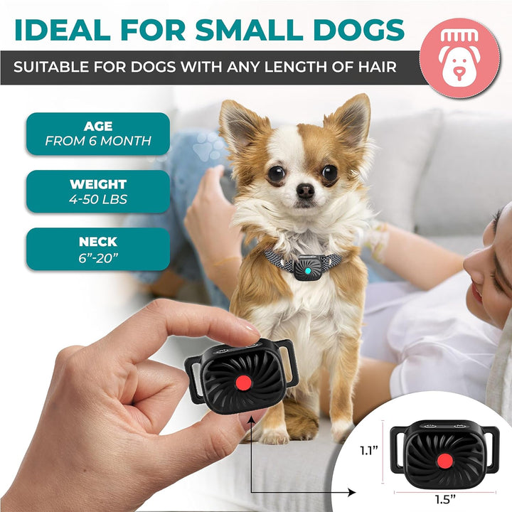 Antibell-Halsband für kleine Hunde