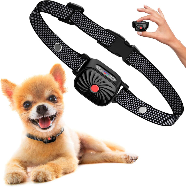 Antibell-Halsband für kleine Hunde
