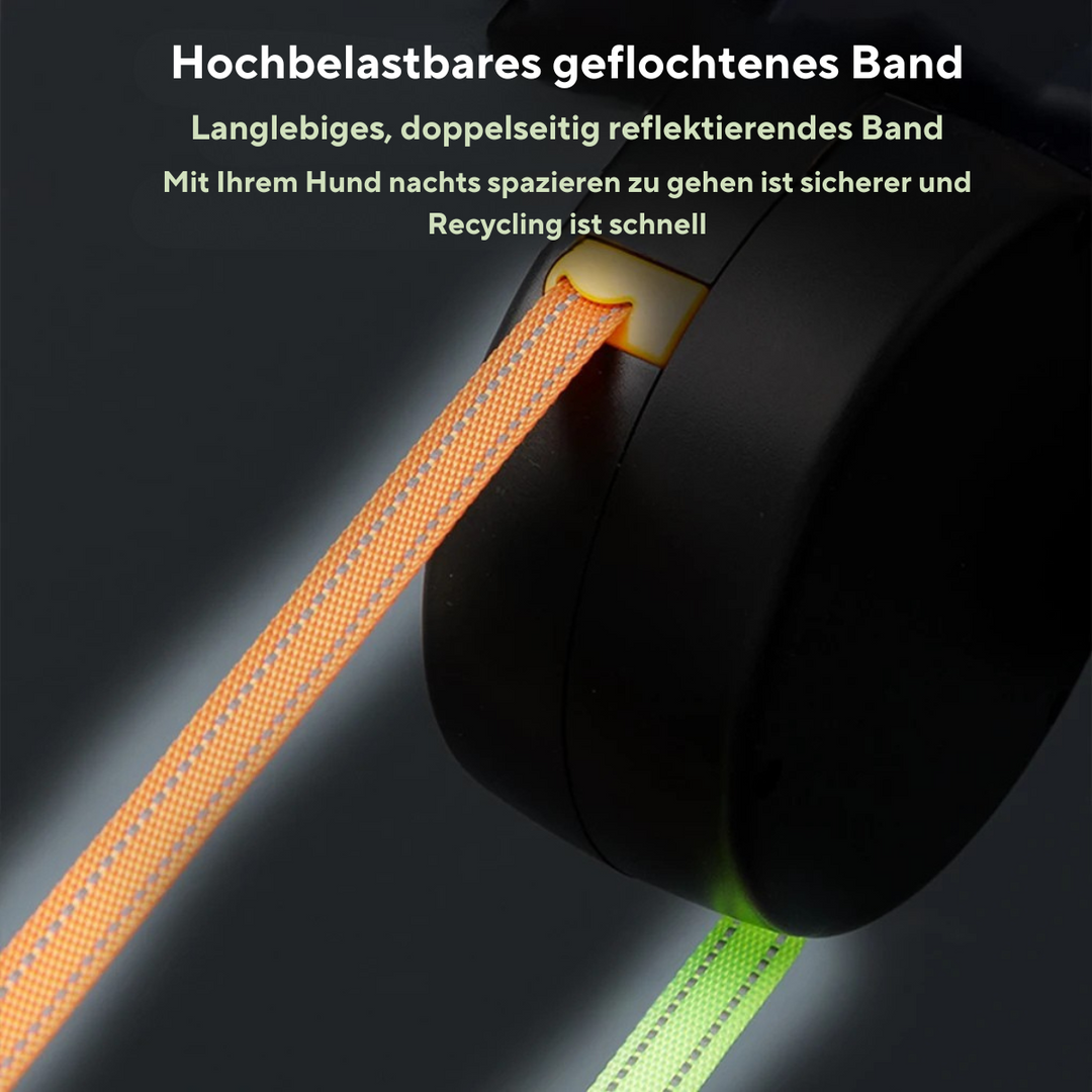 Skanto | Nie wieder verheddern – Doppelleine für Hunde mit LED-Licht
