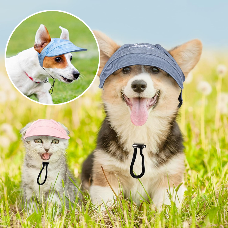 Skanto | Sonnenschutzhut für Hunde