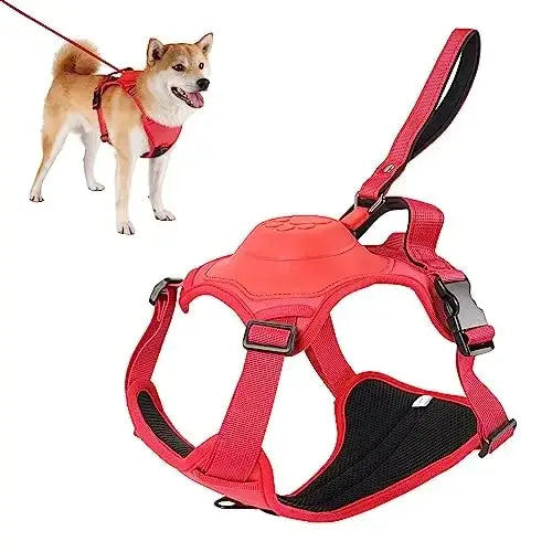 Skanto | All-in-One Hundegeschirr mit einziehbarer Leine