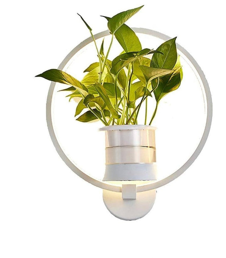 Skanto | Botanische Wandleuchte - Wandlampe mit Pflanze für stilvolle Beleuchtung