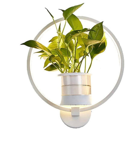 Skanto | Botanische Wandleuchte - Wandlampe mit Pflanze für stilvolle Beleuchtung