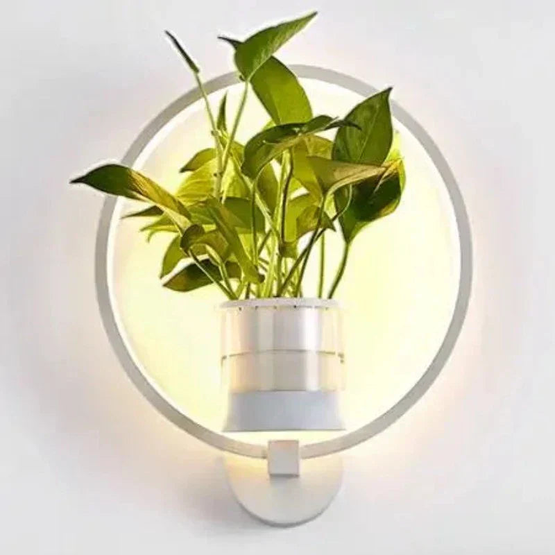 Skanto | Botanische Wandleuchte - Wandlampe mit Pflanze für stilvolle Beleuchtung