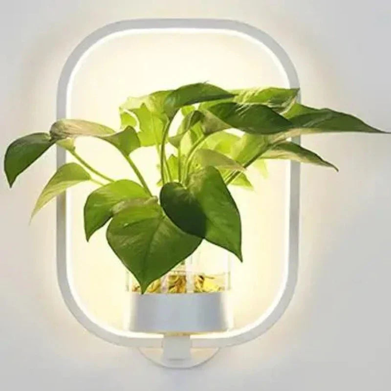 Skanto | Botanische Wandleuchte - Wandlampe mit Pflanze für stilvolle Beleuchtung