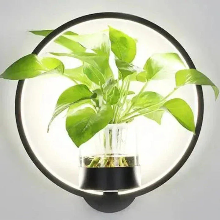 Skanto | Botanische Wandleuchte - Wandlampe mit Pflanze für stilvolle Beleuchtung