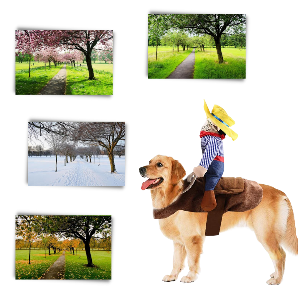 Cowboy-Hundekostüm