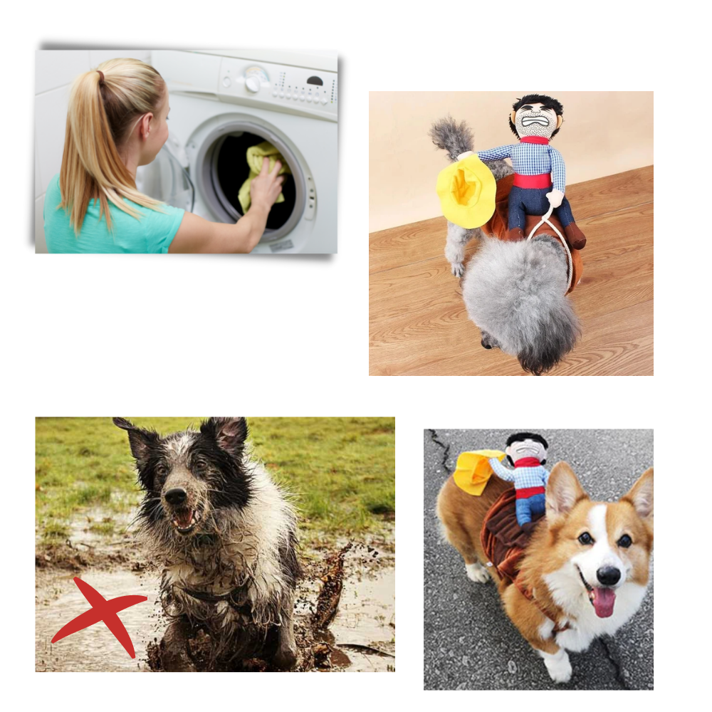Cowboy-Hundekostüm