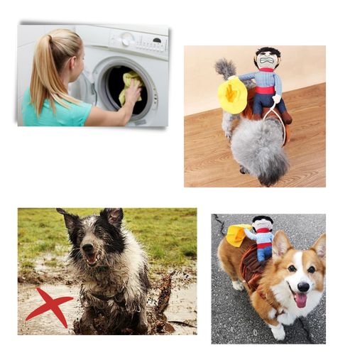 Cowboy-Hundekostüm