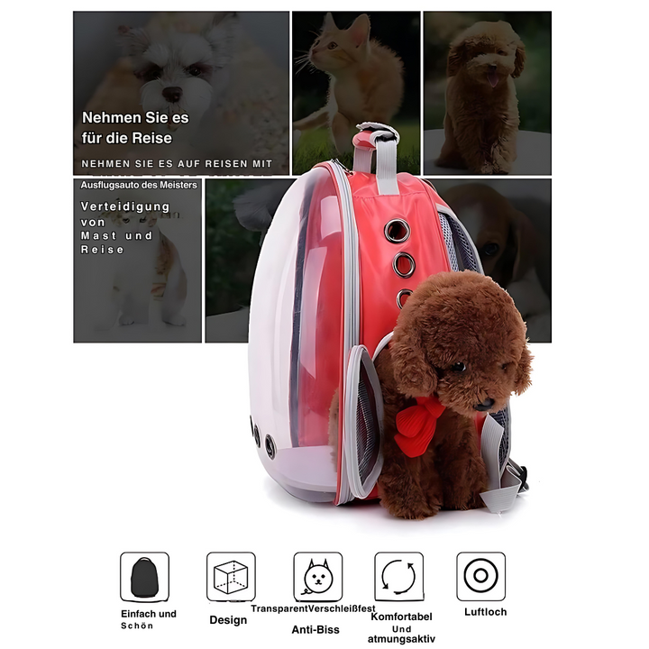 Skanto | Transportrucksack für Katzen – Dein Begleiter für jedes Abenteuer