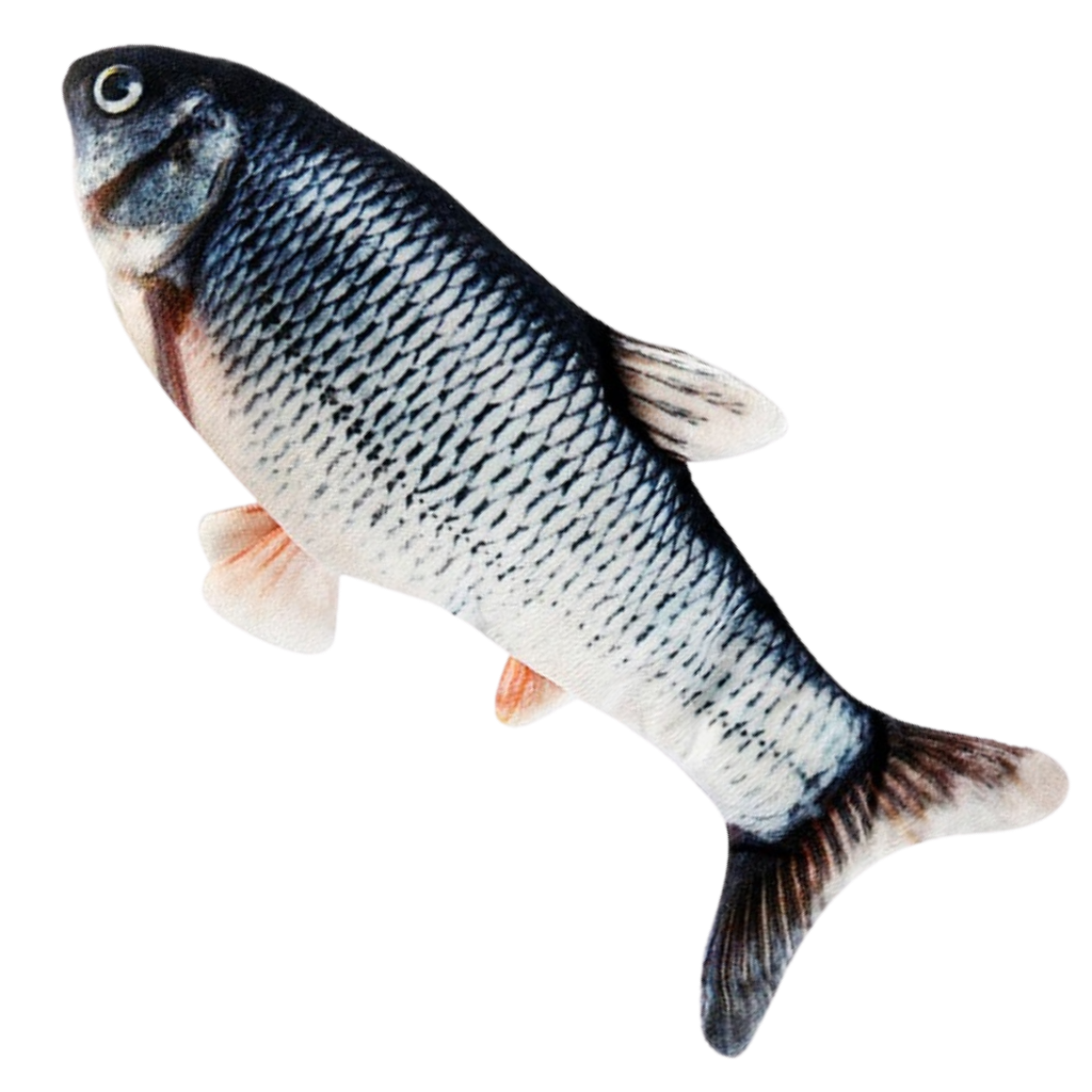 Zappelnder Fisch Katzenspielzeug