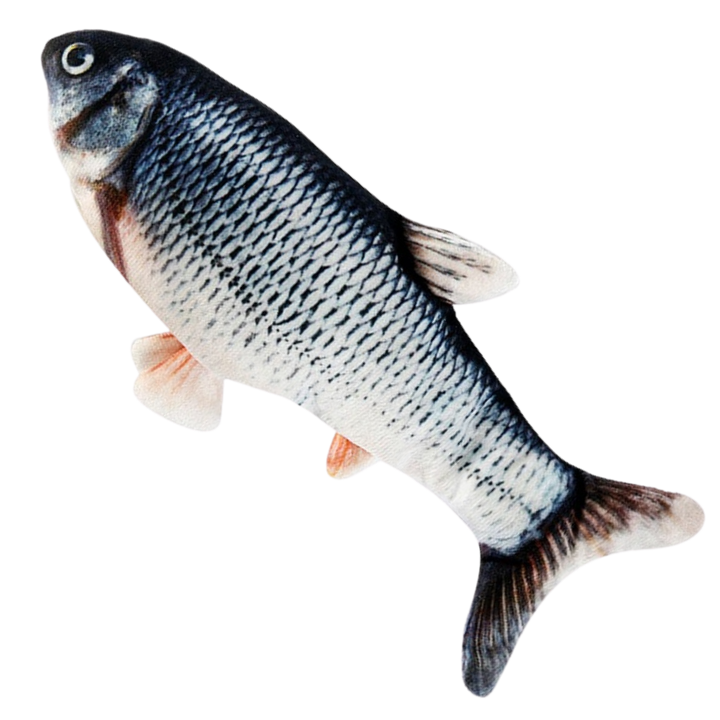 Zappelnder Fisch Katzenspielzeug