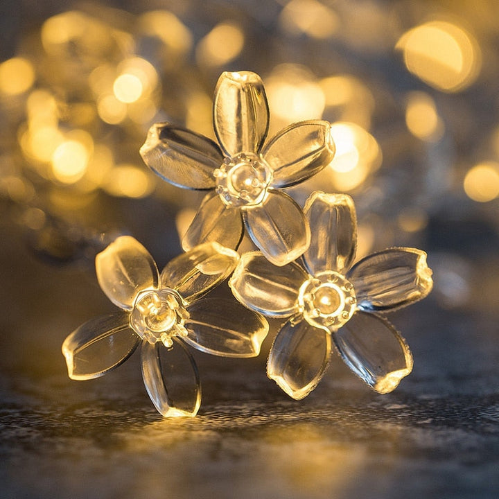 Skanto | Indoor Lichterkette Dekoration