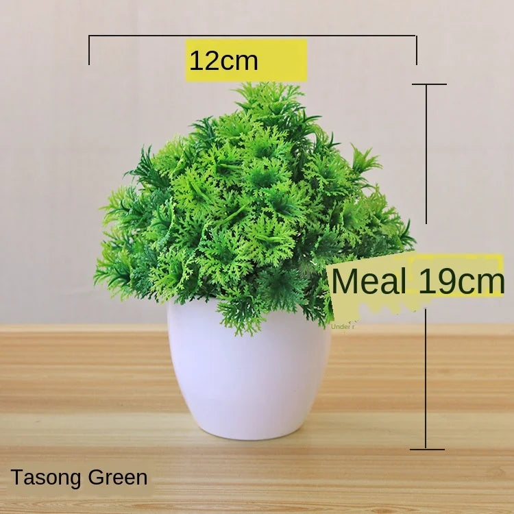 Skanto | Kleiner hölzerner Bonsai-Pflanztopf