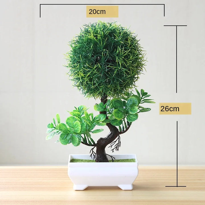 Skanto | Kleiner hölzerner Bonsai-Pflanztopf