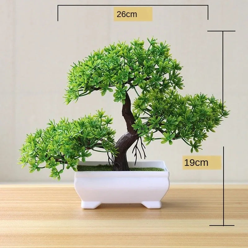Skanto | Kleiner hölzerner Bonsai-Pflanztopf