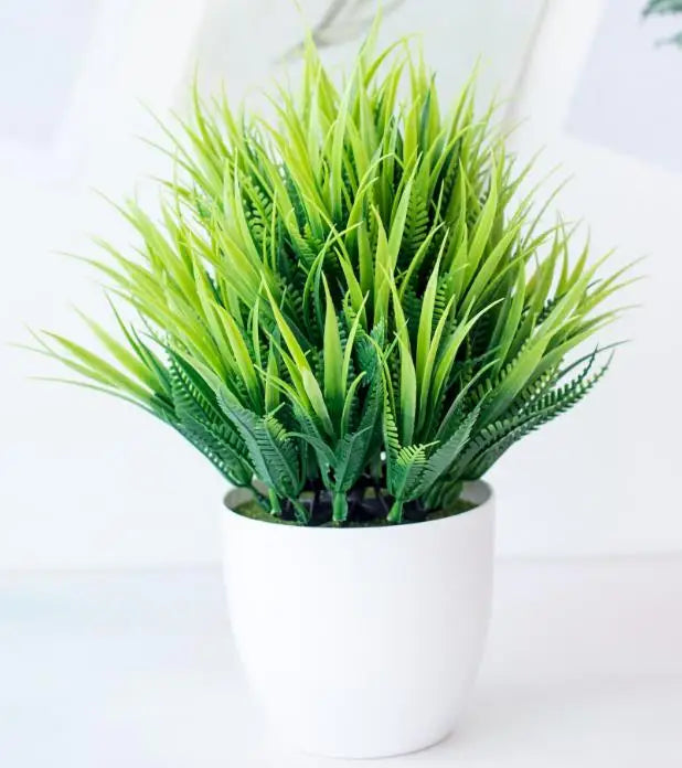 Skanto | Kleiner hölzerner Bonsai-Pflanztopf