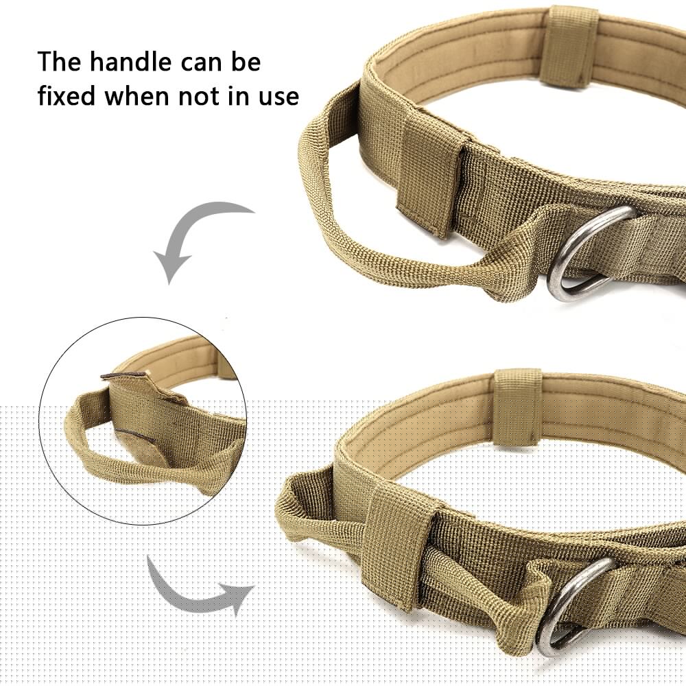 Skanto | Taktisches Hundehalsband