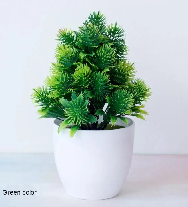 Skanto | Kleiner hölzerner Bonsai-Pflanztopf