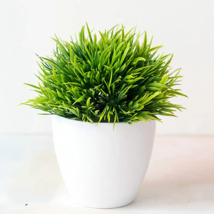 Skanto | Kleiner hölzerner Bonsai-Pflanztopf