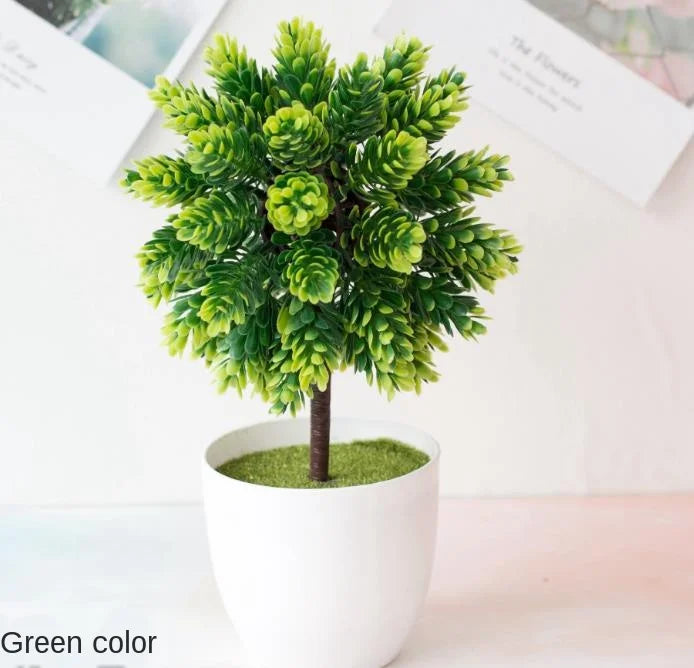 Skanto | Kleiner hölzerner Bonsai-Pflanztopf