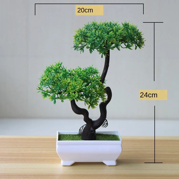 Skanto | Kleiner hölzerner Bonsai-Pflanztopf