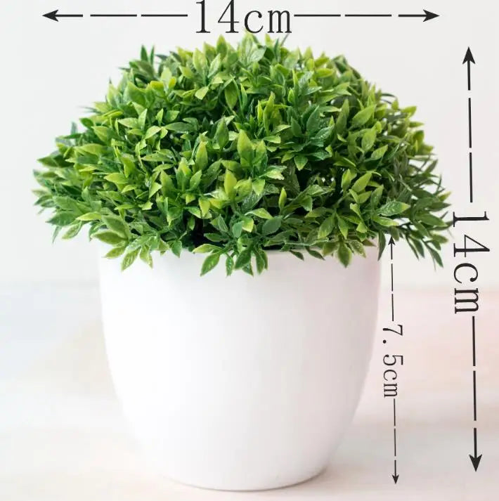 Skanto | Kleiner hölzerner Bonsai-Pflanztopf
