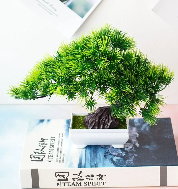 Skanto | Kleiner hölzerner Bonsai-Pflanztopf