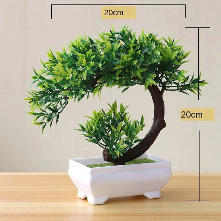 Skanto | Kleiner hölzerner Bonsai-Pflanztopf