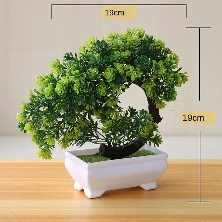 Skanto | Kleiner hölzerner Bonsai-Pflanztopf