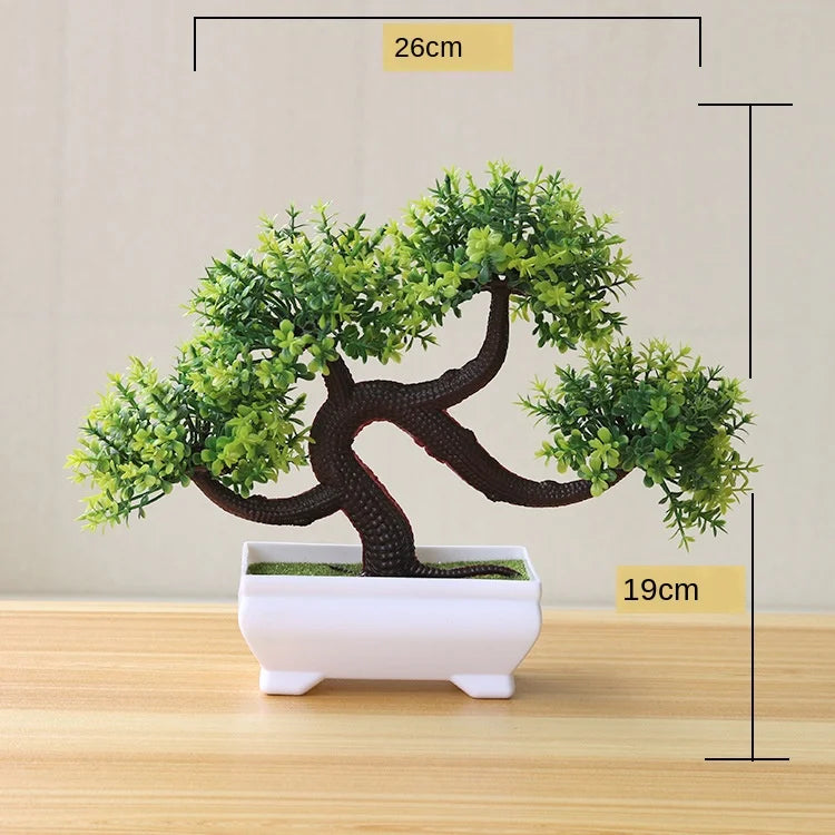 Skanto | Kleiner hölzerner Bonsai-Pflanztopf