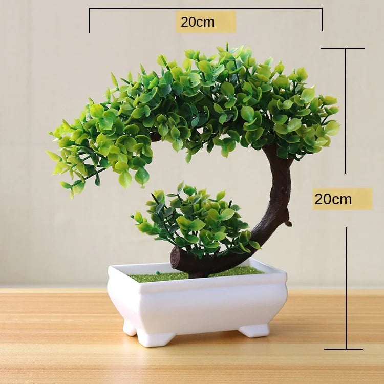 Skanto | Kleiner hölzerner Bonsai-Pflanztopf