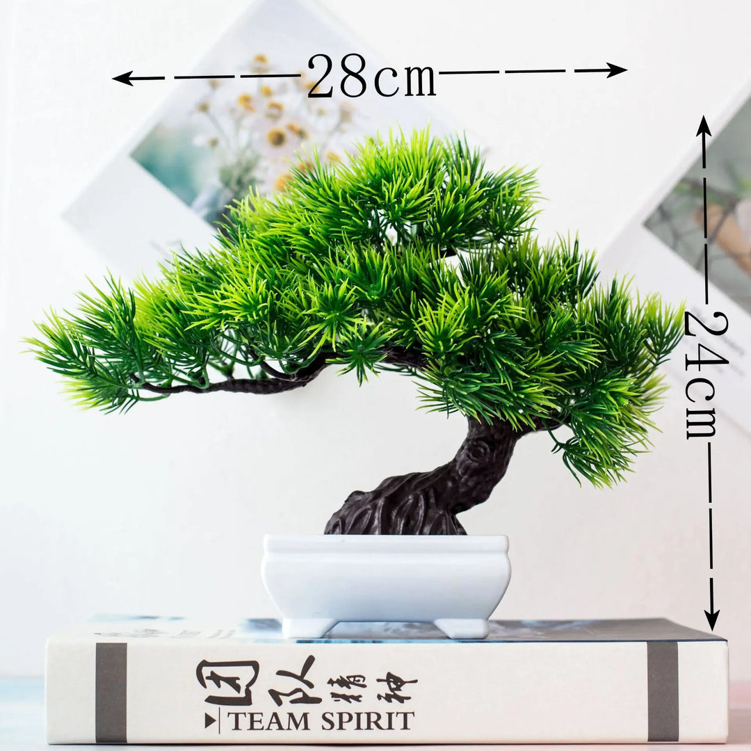 Skanto | Kleiner hölzerner Bonsai-Pflanztopf