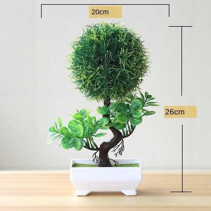 Skanto | Kleiner hölzerner Bonsai-Pflanztopf