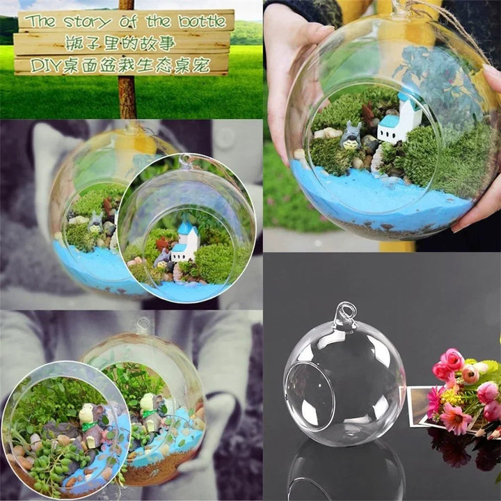 Skanto Glaskugelvase Blumenpflanze Topf Kreativer Glasbehälter Home Office Dekoration Home Tischdeko Raum Glasvasen