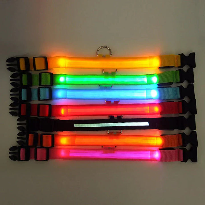 Skanto | Skanto GlowPets LED-Halsband – Haustiersicherheit & Sichtbarkeit