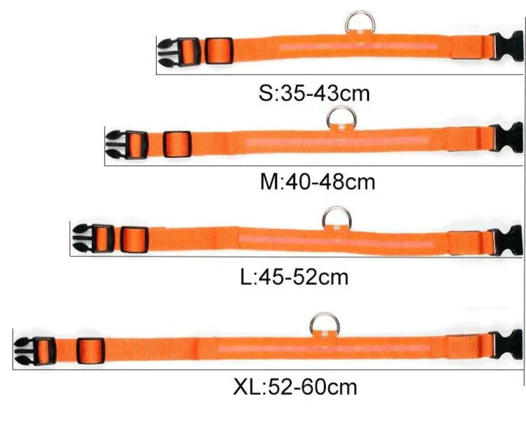 Skanto | Skanto GlowPets LED-Halsband – Haustiersicherheit & Sichtbarkeit