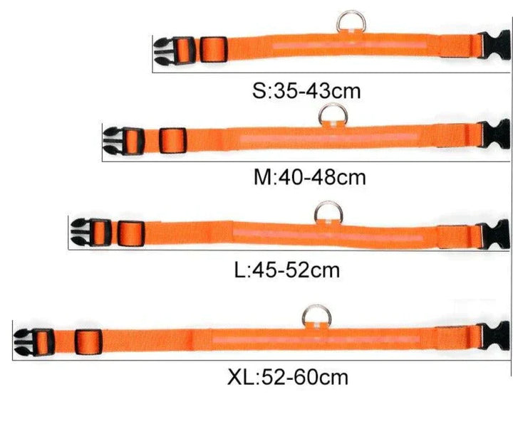 Skanto | Skanto GlowPets LED-Halsband – Haustiersicherheit & Sichtbarkeit