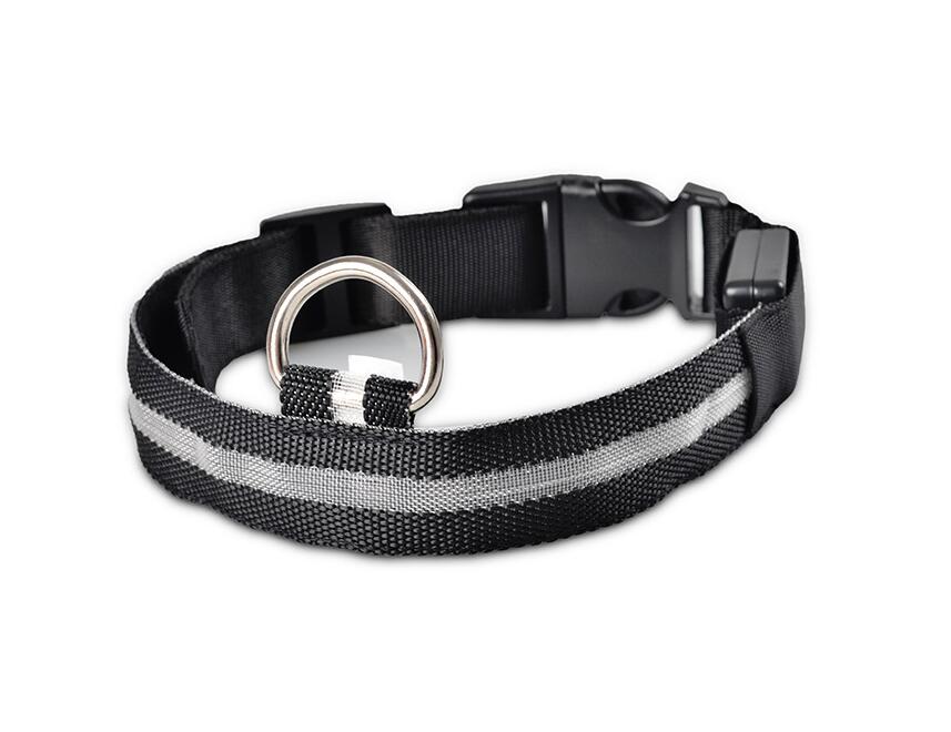 Skanto | Skanto GlowPets LED-Halsband – Haustiersicherheit & Sichtbarkeit