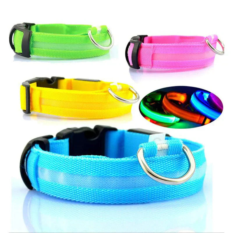 Skanto | Skanto GlowPets LED-Halsband – Haustiersicherheit & Sichtbarkeit
